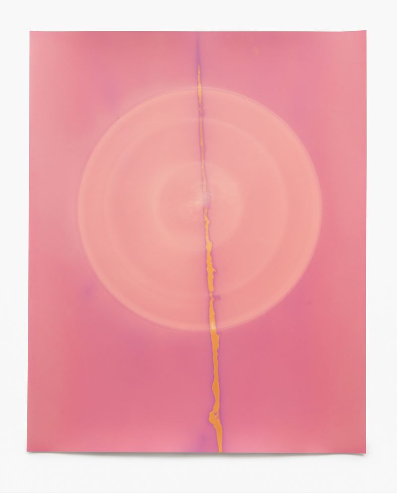 © Galina Kurlat - August 27 II (Hair, Saliva) 2021 16x20 Inches Unique Silver Gelatin Print