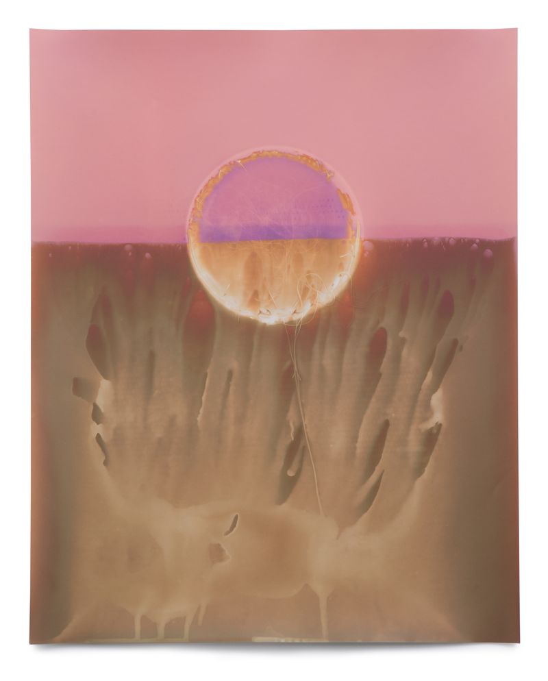 © Galina Kurlat - May 7 (Used Bathwater) 2021 16x20 Inches Unique Silver Gelatin Print
