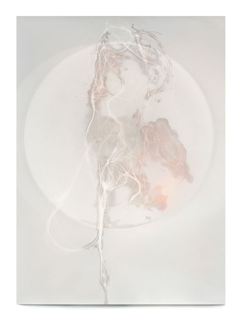 © Galina Kurlat - July 26 (Hair, Saliva I) 2020 5x7 Inches 16x20 Inches Unique Silver Gelatin Print