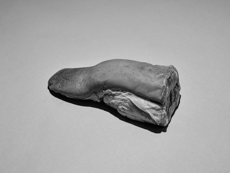 © Jenna Garrett - Image from the Teeth of the Wolf photography project