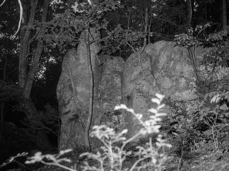 © Jenna Garrett - Image from the Teeth of the Wolf photography project