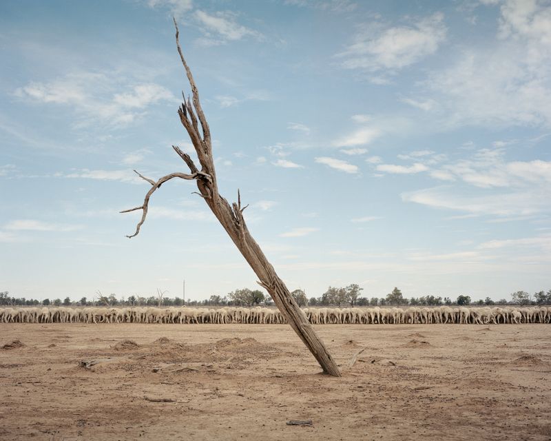 © Adam Ferguson - Image from the Big Sky photography project