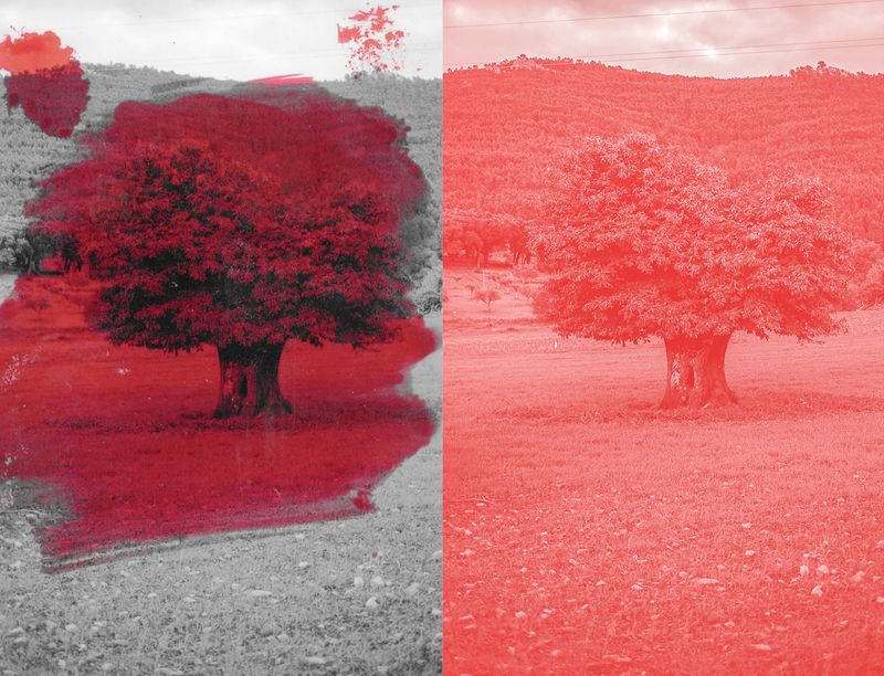 © Raquel Antunes - Image from the Matriz photography project