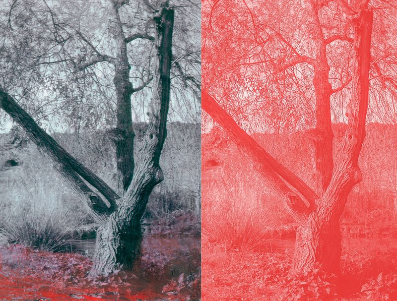 © Raquel Antunes - Image from the Matriz photography project