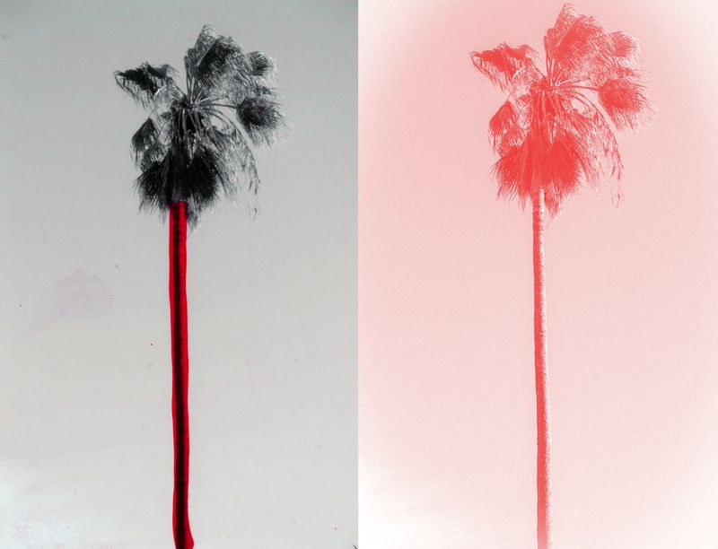 © Raquel Antunes - Image from the Matriz photography project