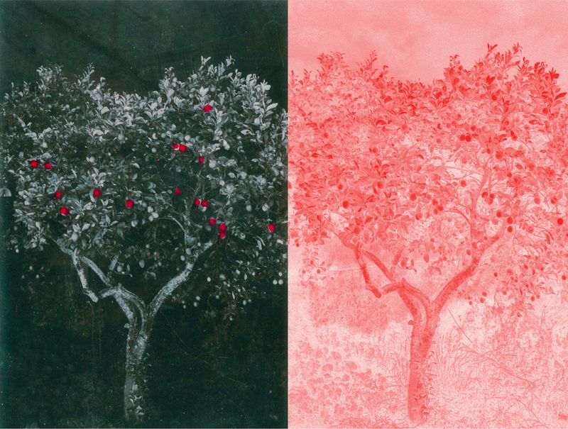 © Raquel Antunes - Image from the Matriz photography project