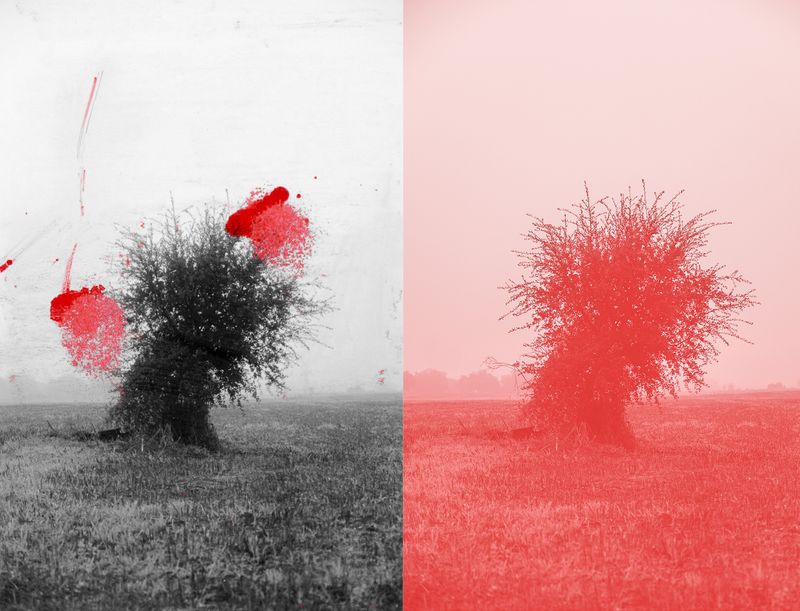 © Raquel Antunes - Image from the Matriz photography project