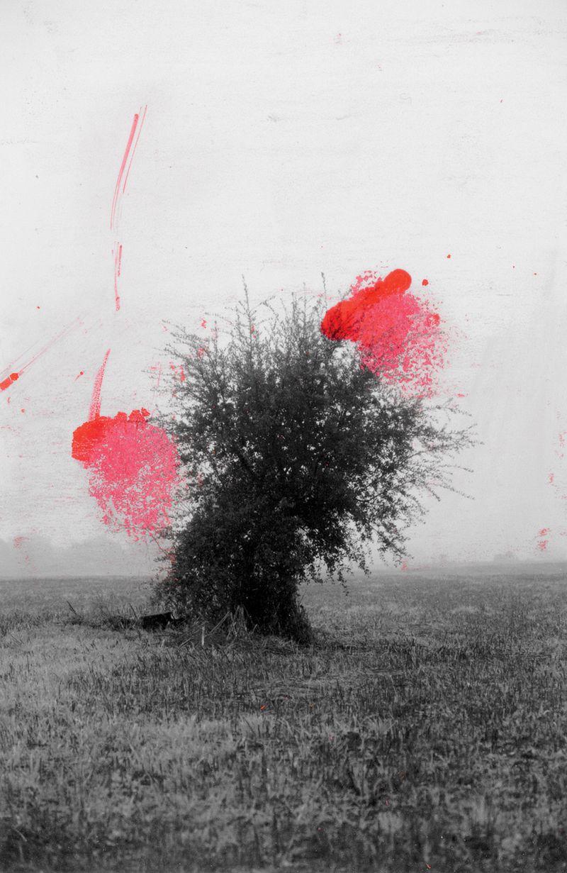 © Raquel Antunes - Image from the Matriz photography project