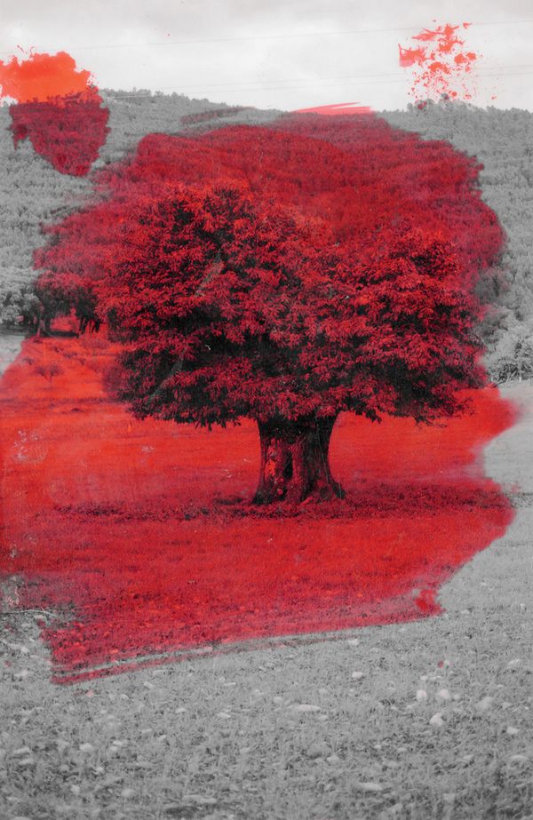 © Raquel Antunes - Image from the Matriz photography project