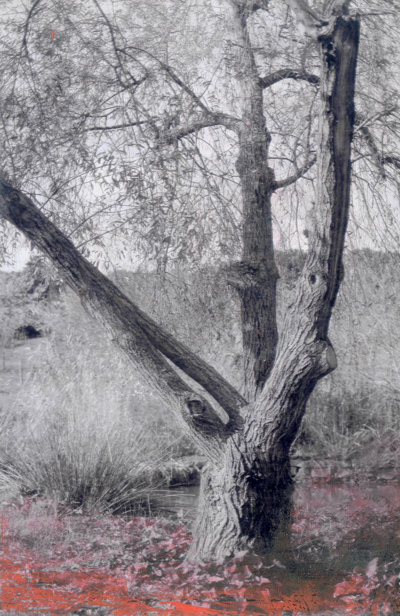 © Raquel Antunes - Image from the Matriz photography project