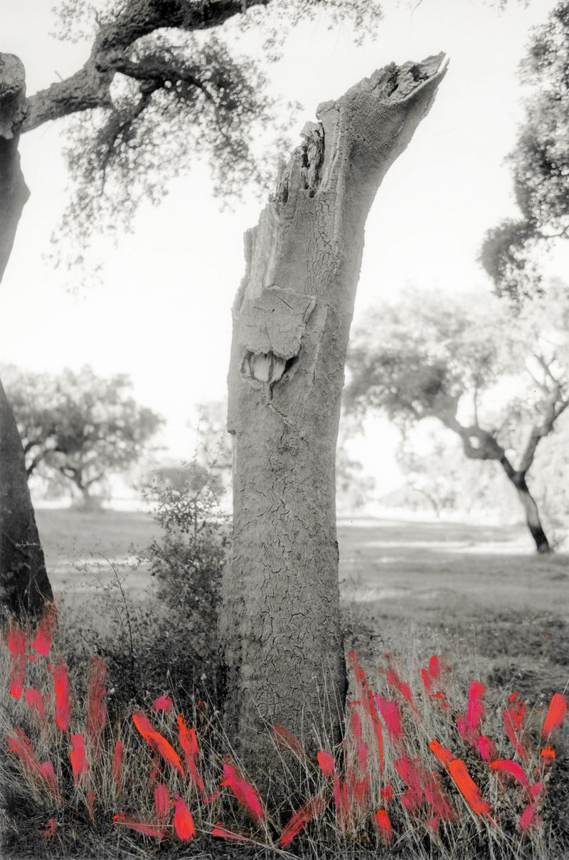 © Raquel Antunes - Image from the Matriz photography project
