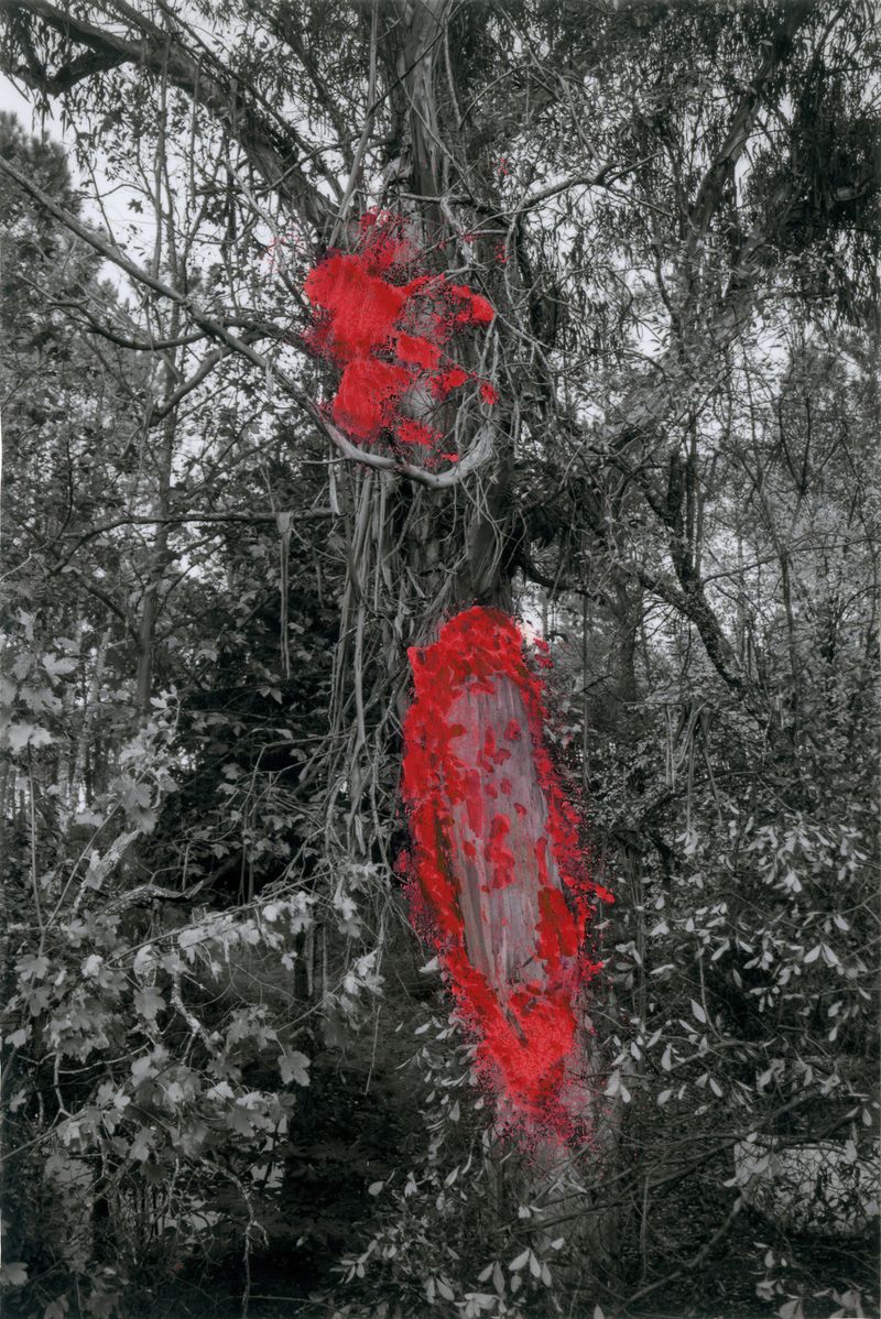 © Raquel Antunes - Image from the Matriz photography project