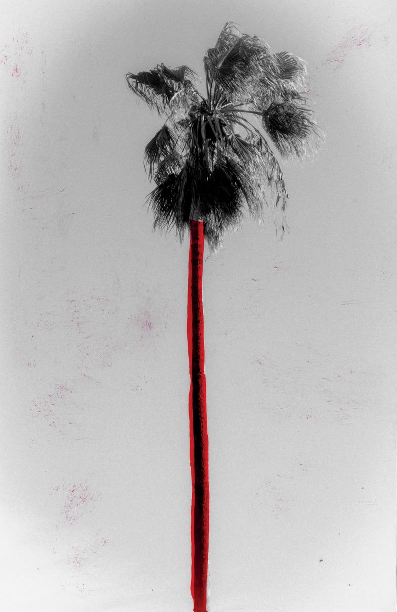 © Raquel Antunes - Image from the Matriz photography project