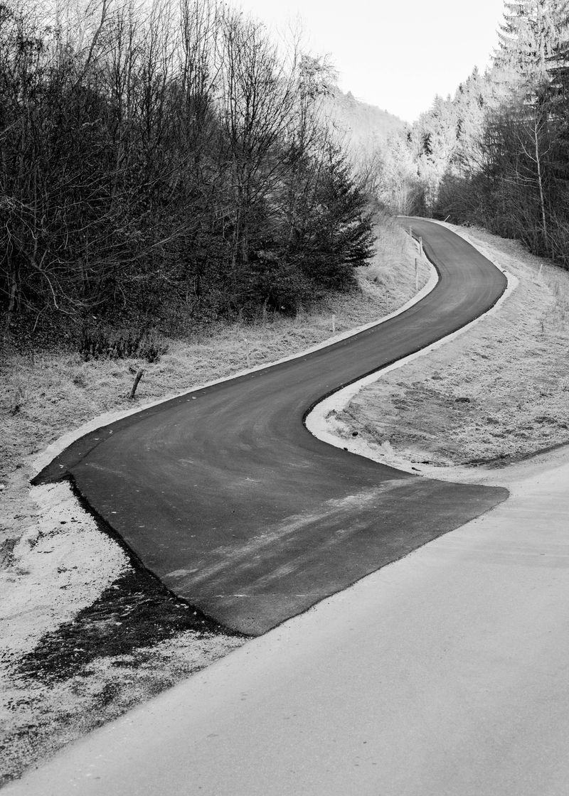 © Jaka Tersek - Image from the OWL, FOX, HEDGEHOG, DEER photography project