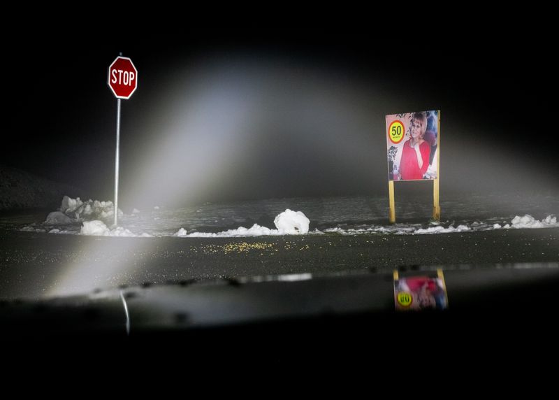 © Jaka Tersek - Image from the OWL, FOX, HEDGEHOG, DEER photography project