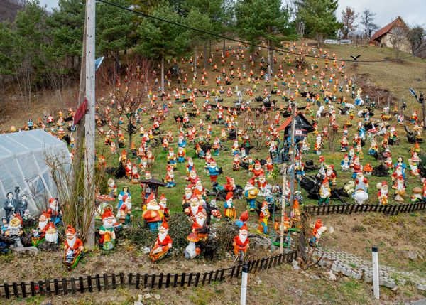 © Jaka Tersek - Image from the OWL, FOX, HEDGEHOG, DEER photography project