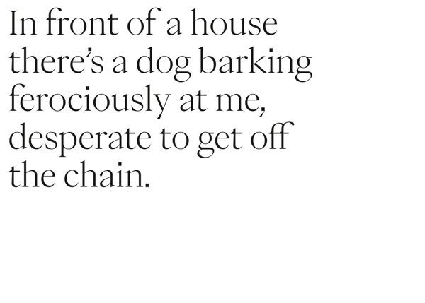 © Jaka Tersek - Image from the Owl, fox, hedgehog, deer photography project