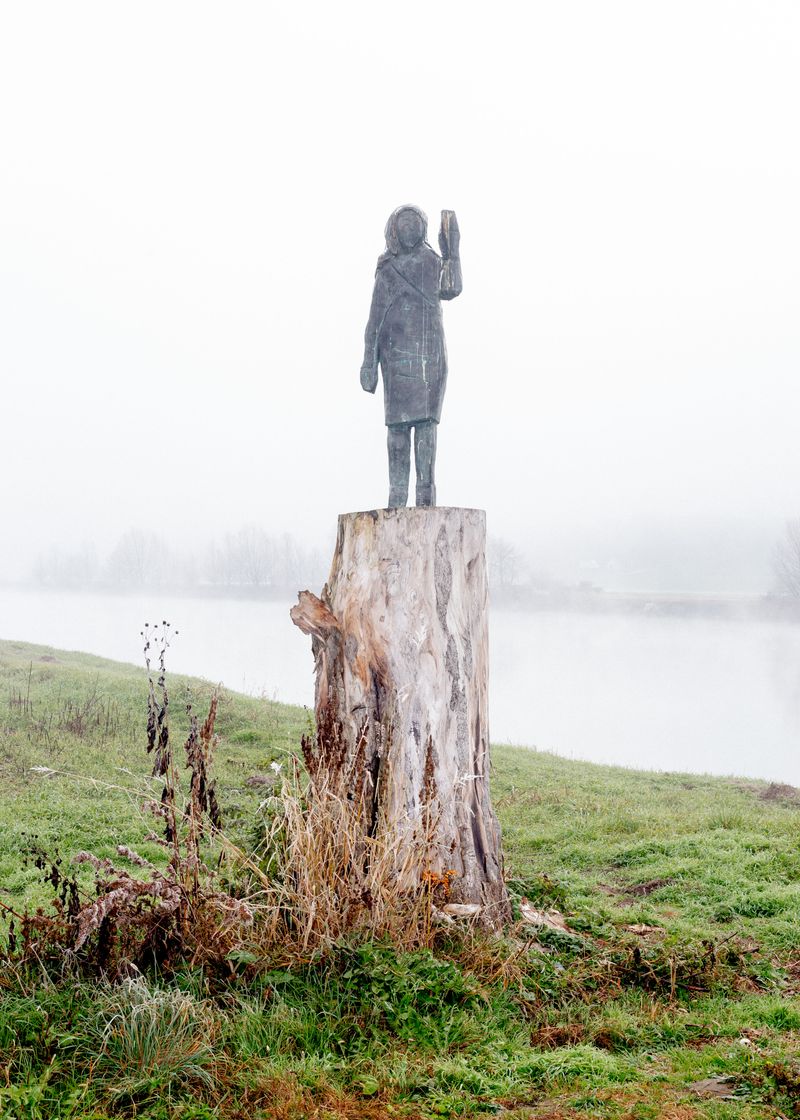 © Jaka Tersek - Image from the Owl, fox, hedgehog, deer photography project