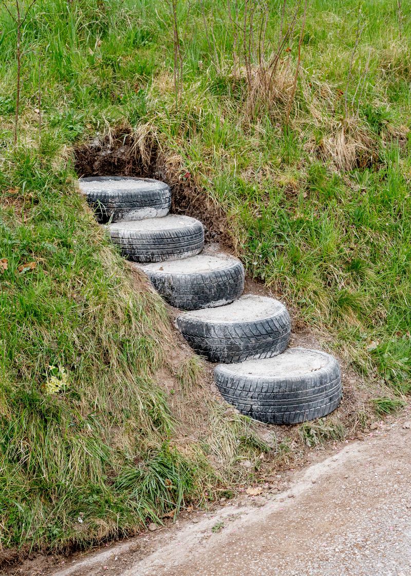 © Jaka Tersek - Image from the Owl, fox, hedgehog, deer photography project