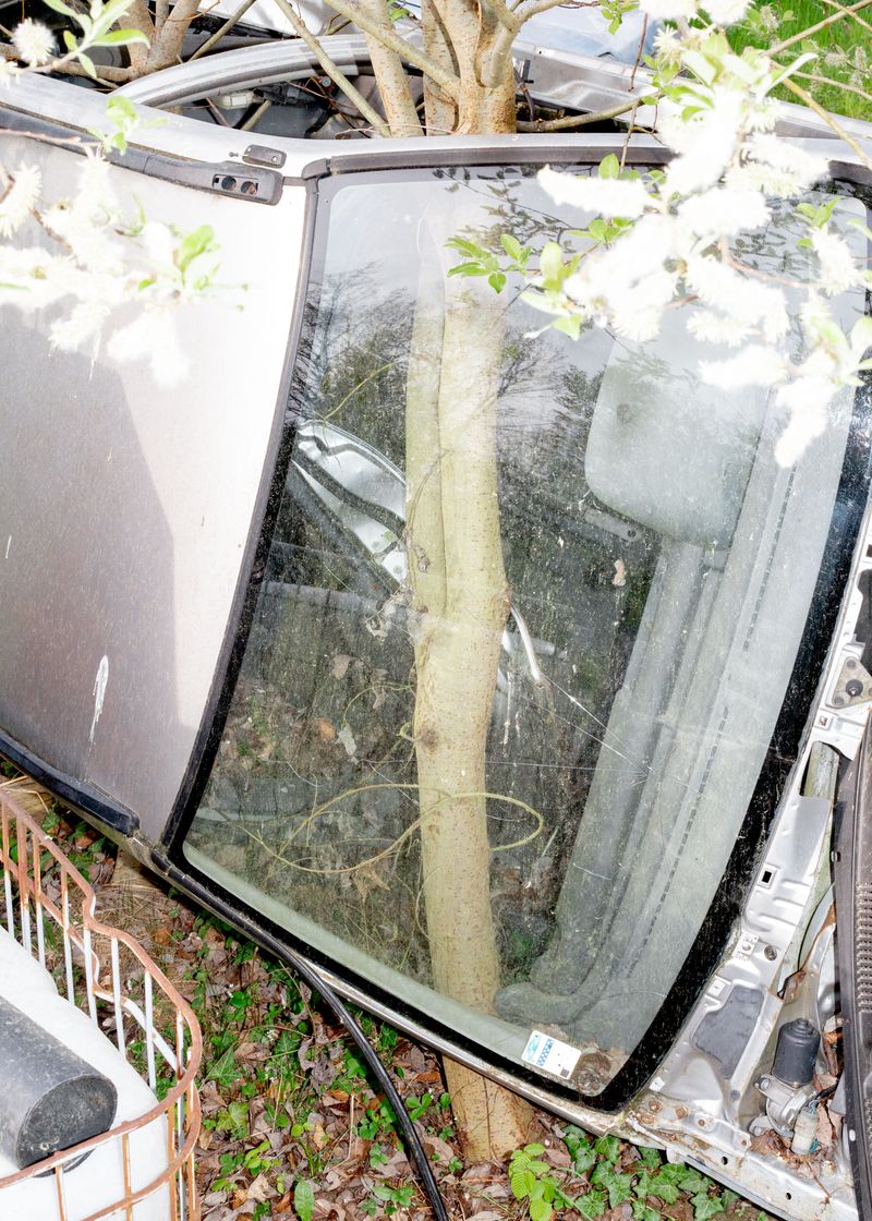 © Jaka Tersek - Image from the Owl, fox, hedgehog, deer photography project