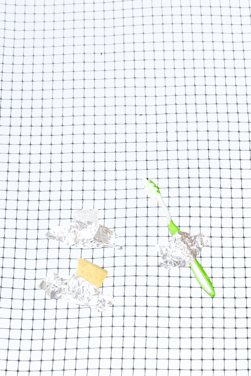 © Sasha Velichko - Image from the Called to the Carpet photography project