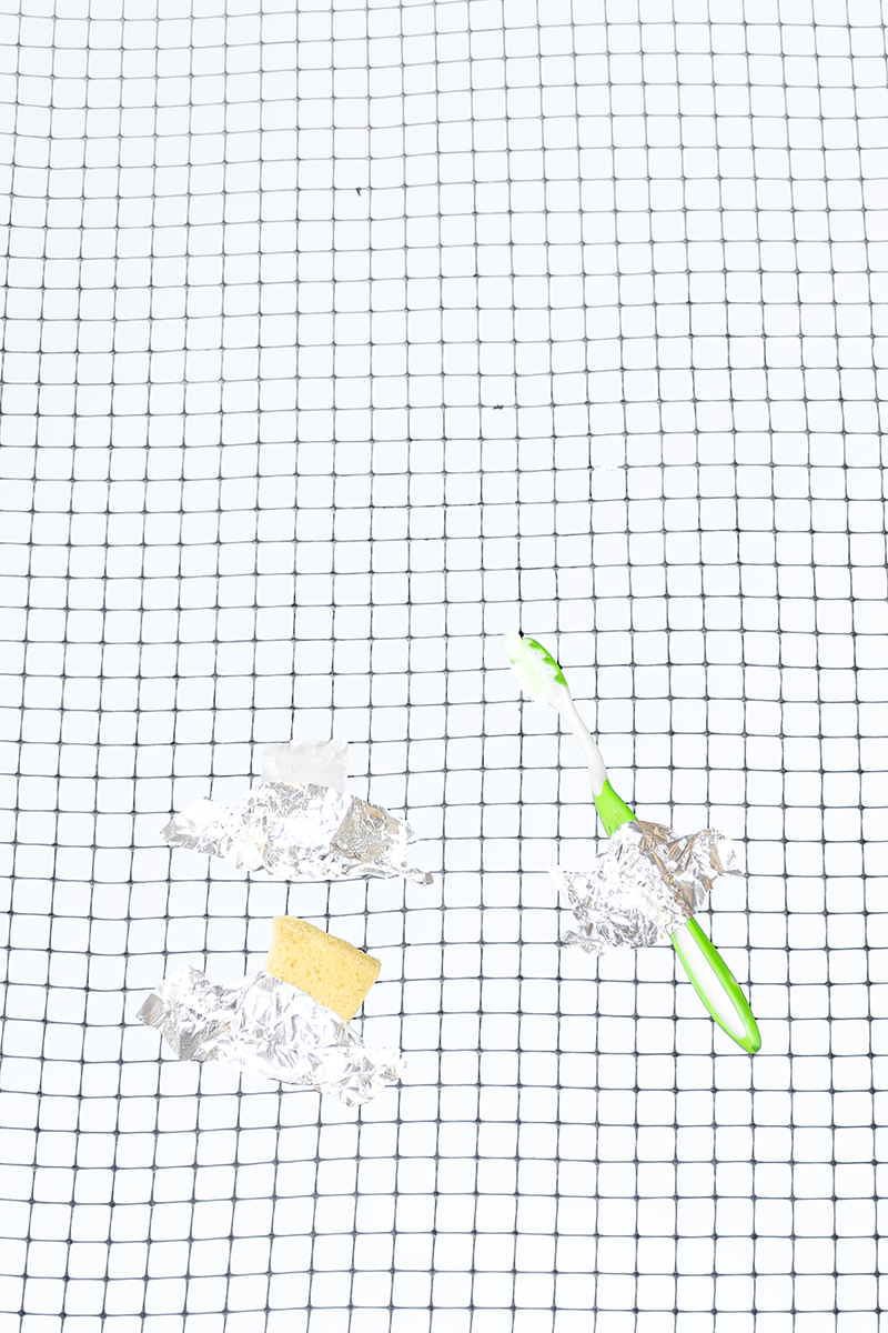 © Sasha Velichko - Image from the Called to the Carpet photography project