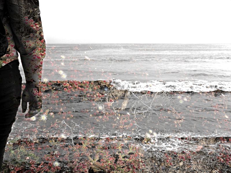 © Laurene Praget - 11 - Lis (MX), Tijuana, Baja California, México