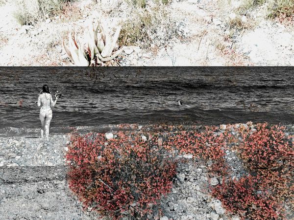 © Laurene Praget - 3 - Daviña (ESP), Cabo Cope, Murcia, España