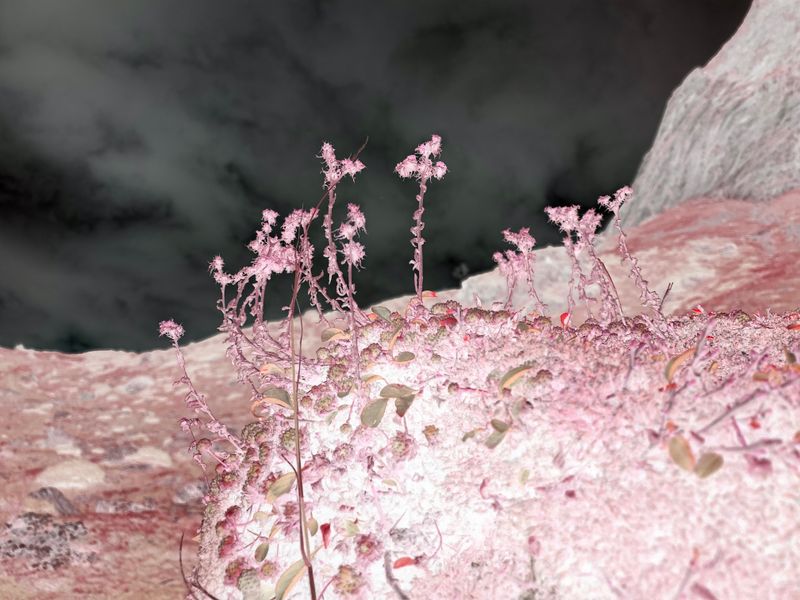 © Laurene Praget - Image from the Entre las curvas de las montañas, la piel photography project