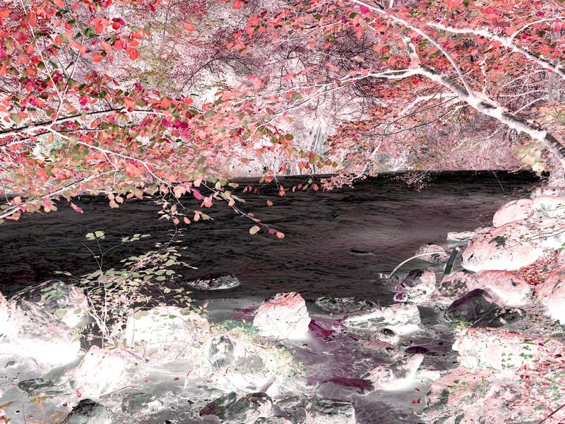 © Laurene Praget - Image from the Entre las curvas de las montañas, la piel photography project