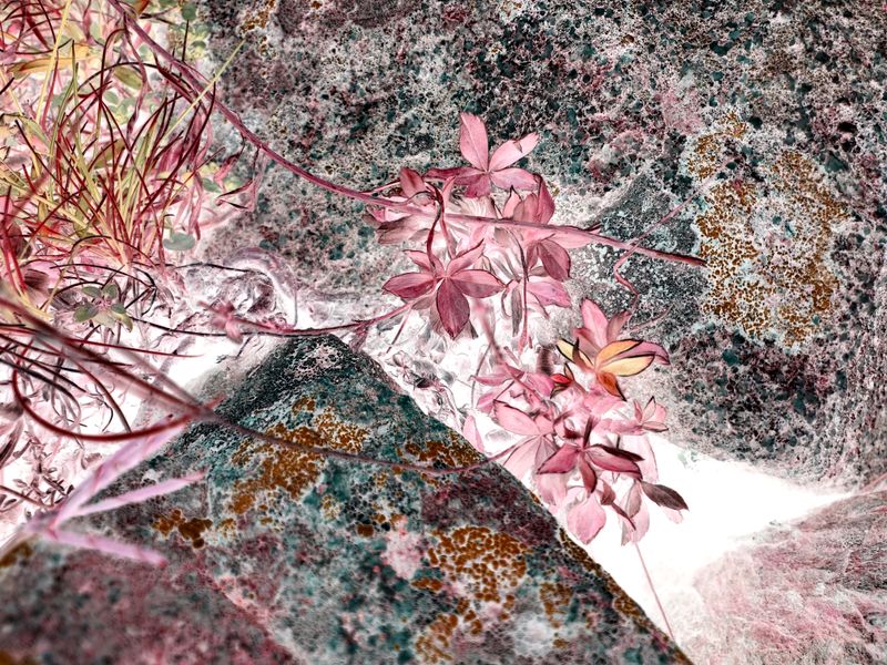 © Laurene Praget - Image from the Entre las curvas de las montañas, la piel photography project