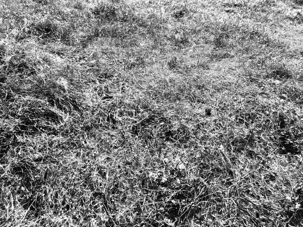 © Laurene Praget - Image from the Entre las curvas de las montañas, la piel photography project