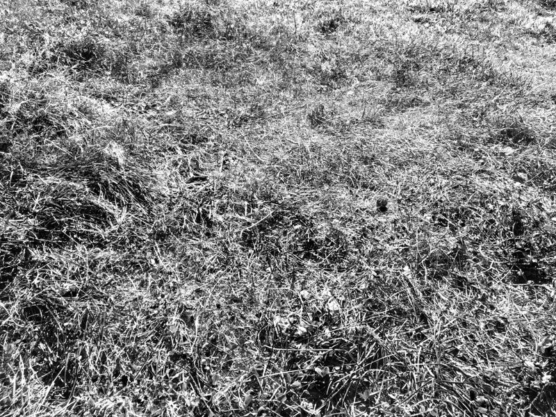 © Laurene Praget - Image from the Entre las curvas de las montañas, la piel photography project