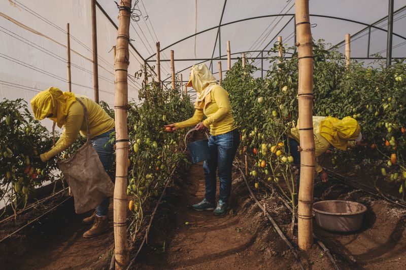 © Ana Maria Arevalo Gosen - Image from the Días Eternos photography project