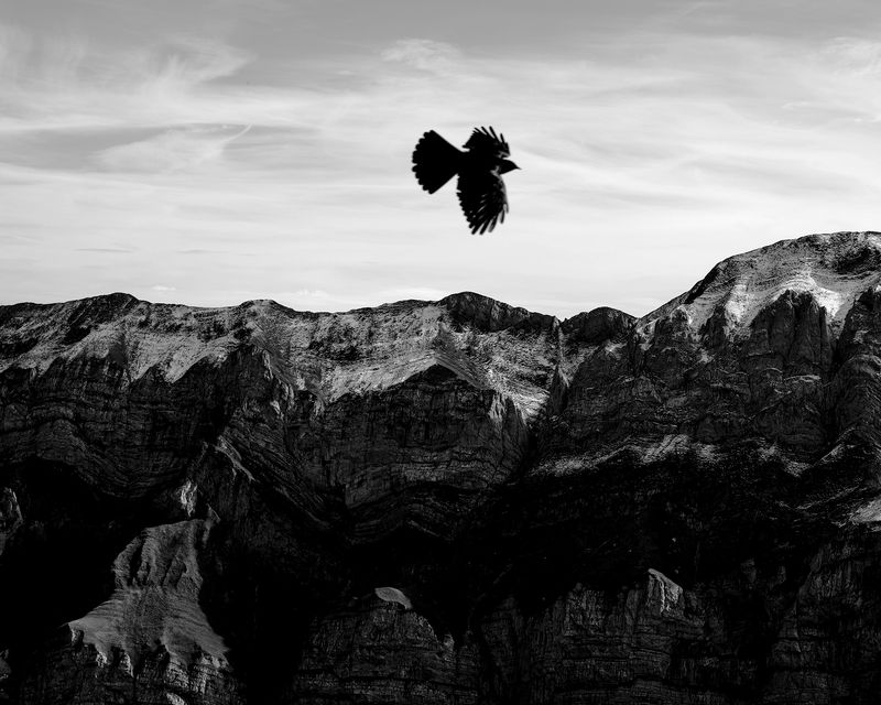 © Allison Hess - Image from the Tall as an Oak Tree photography project