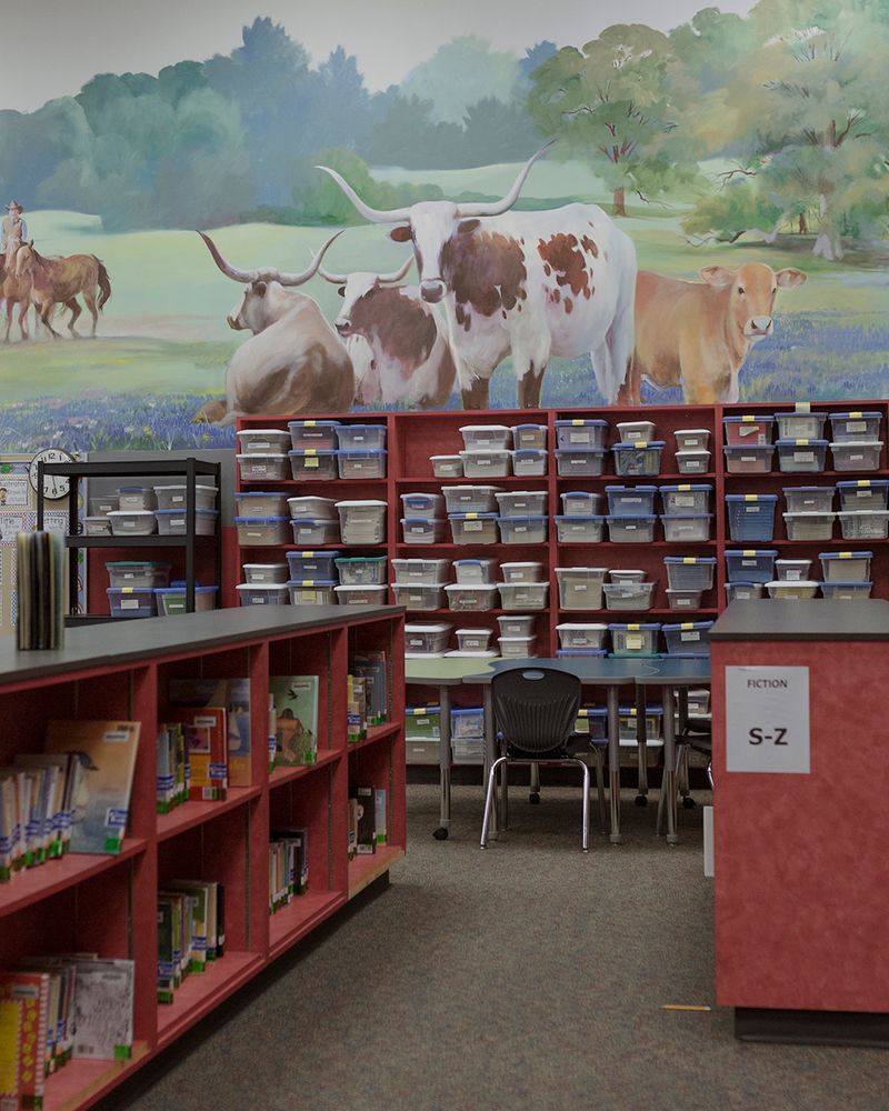 © Allison Hess - A mural hangs above the bookshelves of my childhood elementary school, depicting the landscape of what Fulshear once was.