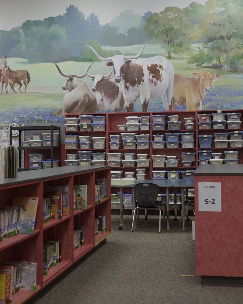 © Allison Hess - A mural hangs above the bookshelves of my childhood elementary school, depicting the landscape of what Fulshear once was.