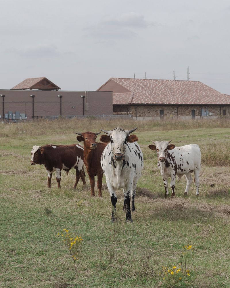 © Allison Hess - Image from the What Remains photography project