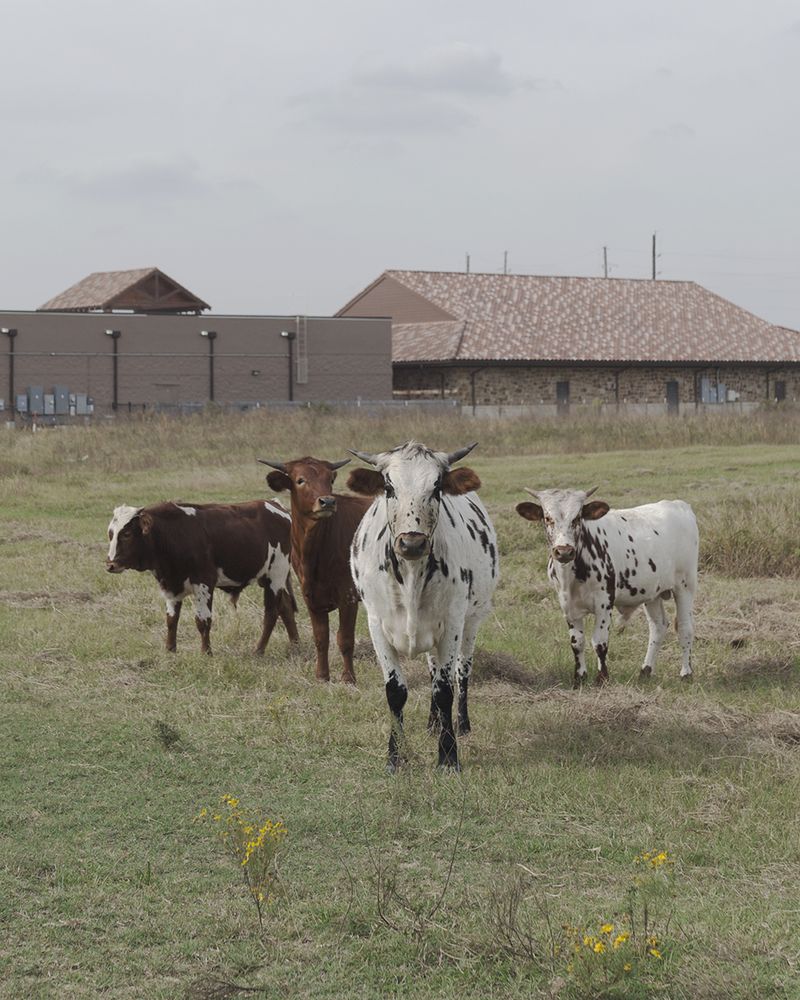 © Allison Hess - Image from the What Remains photography project