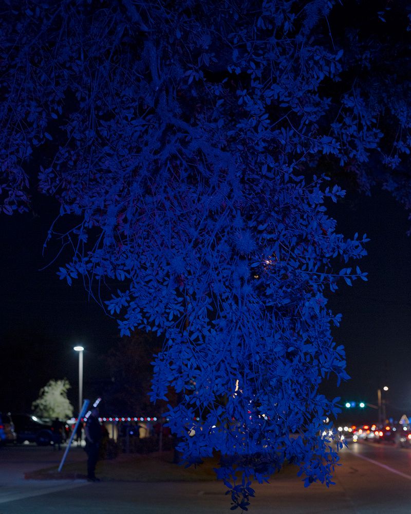 © Allison Hess - Image from the What Remains photography project