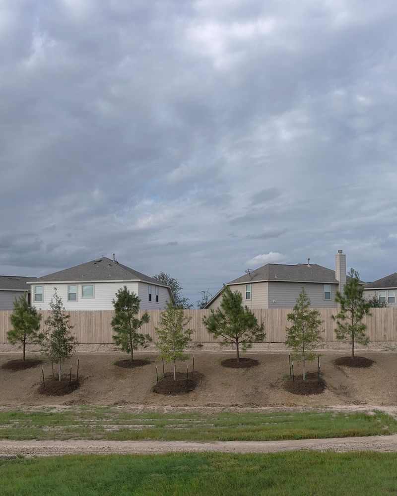 © Allison Hess - Image from the What Remains photography project