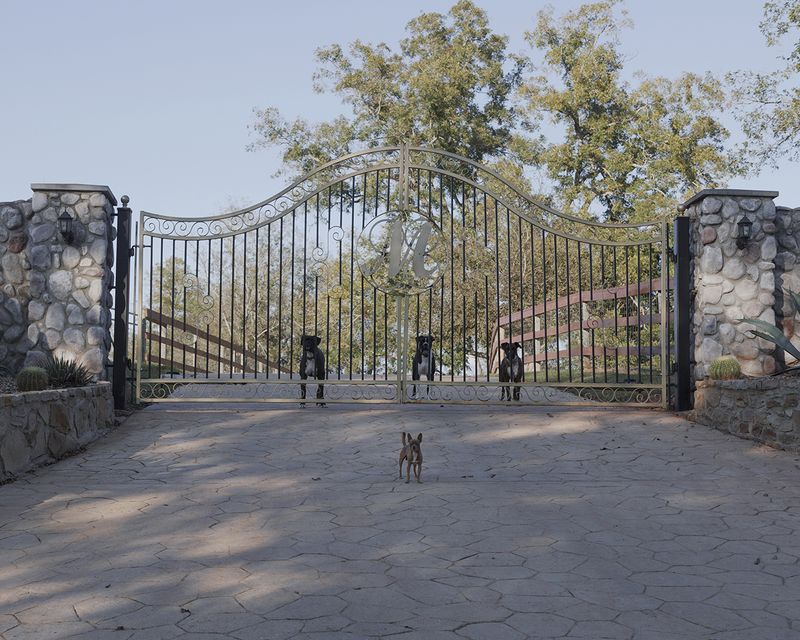 © Allison Hess - Image from the What Remains photography project