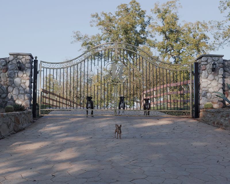 © Allison Hess - Image from the What Remains photography project