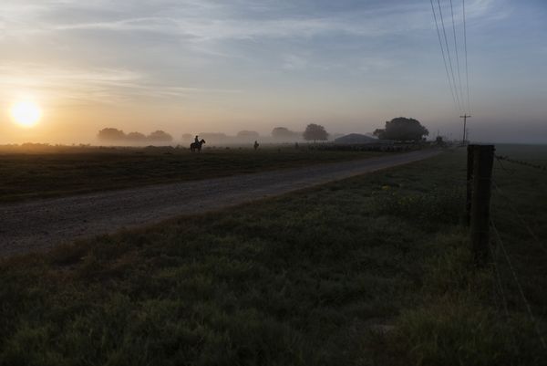 © Allison Hess - Image from the Disappearing Breed photography project