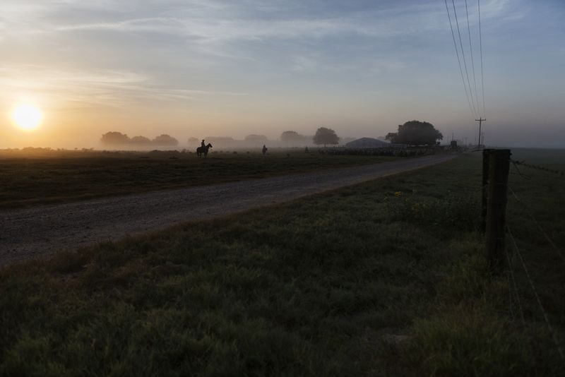 © Allison Hess - Image from the Disappearing Breed photography project