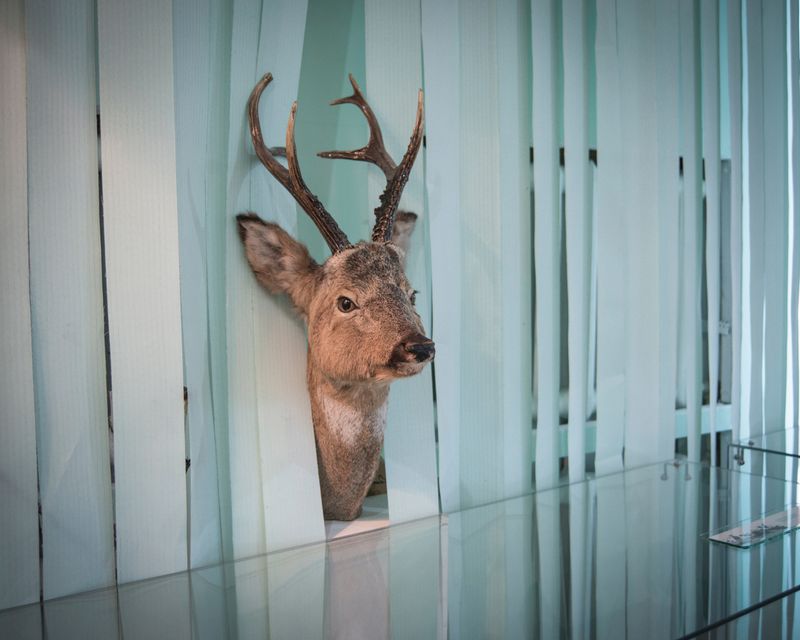 © justyna mielnikiewicz - Image from the KazaRusy photography project