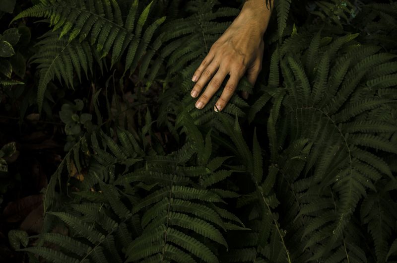 © Sebastian Lopez Brach - Image from the selvamadre photography project