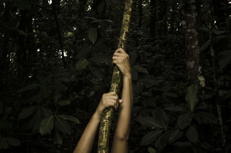 © Sebastian Lopez Brach - Image from the selvamadre photography project