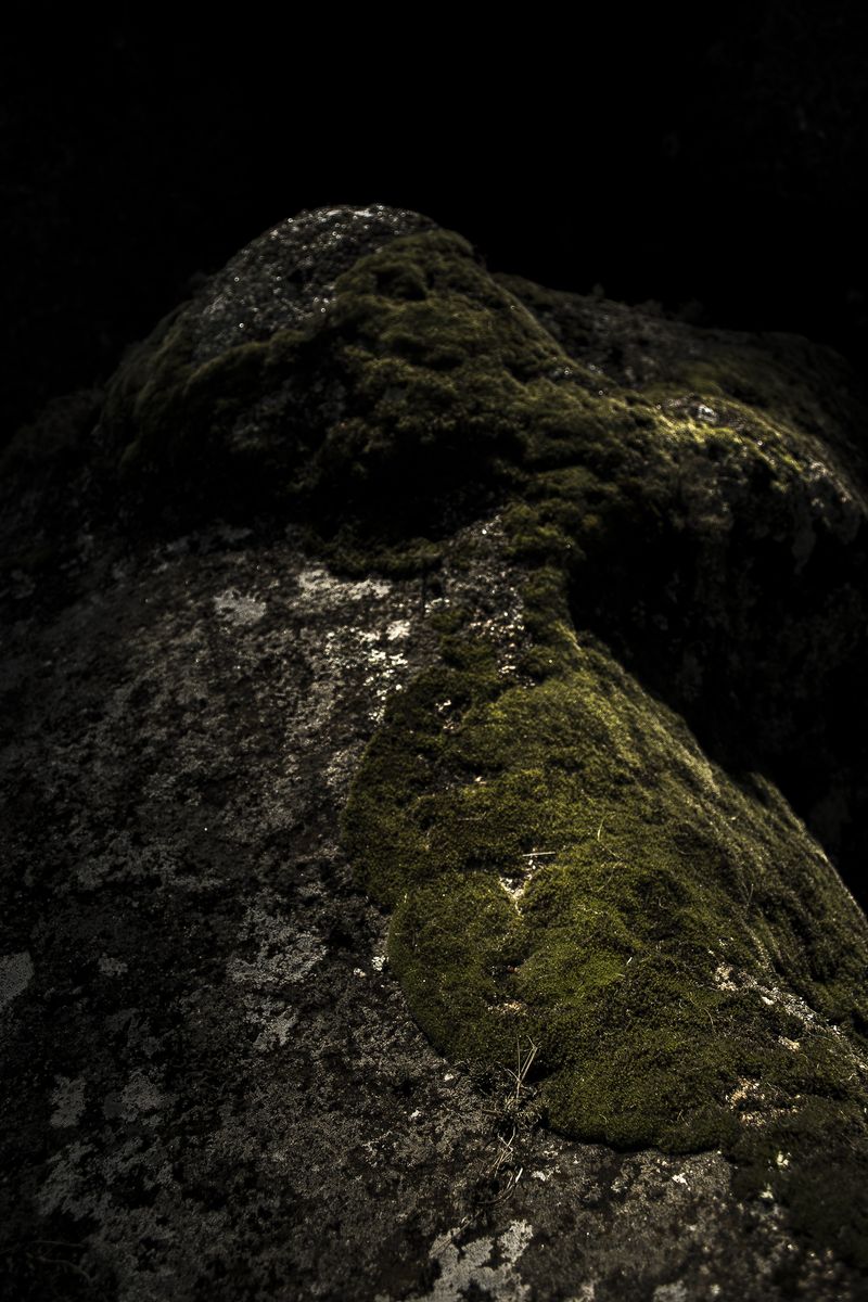 © Sebastian Lopez Brach - Image from the selvamadre photography project
