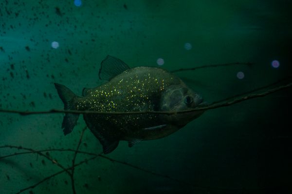 © Sebastian Lopez Brach - Image from the Rio Adentro photography project